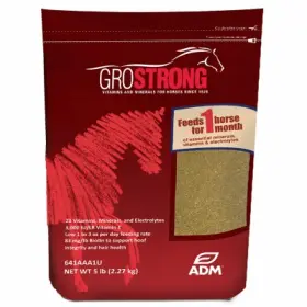 641aaa1u Adm Grostrong Horse Minerals Granular 5-lbs. -