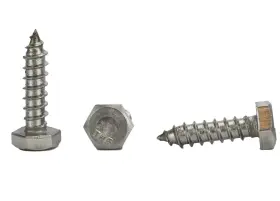 S08-040100 Chenango Supply Stainless 1/4 X 1 Hex Lag Screw Inch To 5 Lengths Available In Listing 18-8