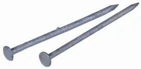 461281 Hillman Fasteners Galvanized Common Nail 2.5- Inch 8-d 1-lb. -461281
