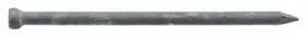 461640 Hillman Fasteners 12 Pack 10d Galvanized Finish Nails 2.5- Inch 1-lb
