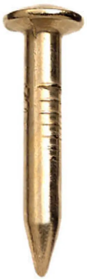 50034 Hillman Fasteners Bend-less Nails Brass-plated 10-pc. -50034