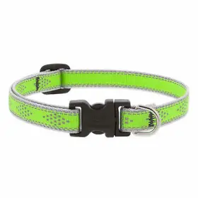 48135 Lupine Inc 6 Pack - 1/2x10-16 Inch Gd Dog Collar -48135