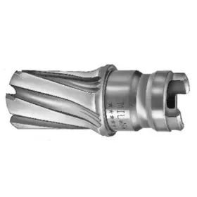 49-57-0689 Milwaukee 11/16 Inch Hawg Cutter