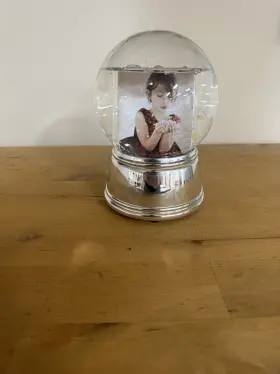6027774 Neil Enterprises-inc Large Photo Snow Globe With Silver Base - Soft Plastic Surface And Great Idea Gift