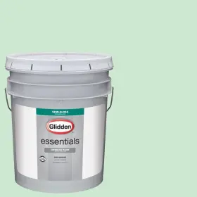 Hdgg55de-01sd Ppg 5 Gal. #hdgg55d New Mint Green Semi-gloss Interior Paint