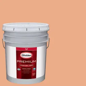Hdgo19dp-05fn Ppg 5 Gal. #hdgo19d Dramatic Coral Flat Interior Paint With Primer