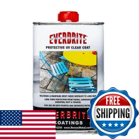 B01mydttkt Protectaclear Everbrite 16 Oz. Clear Protective Coating For Metal