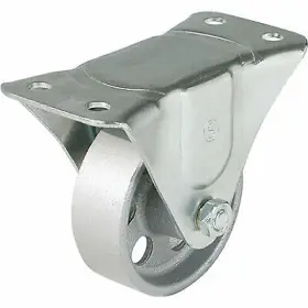F24820 Richelieu America Ltd Rigid Plate Caster 3- Inch -f24820