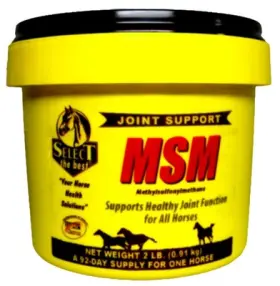 17498851 Select The Best Msm Horse Supplement 2-lbs