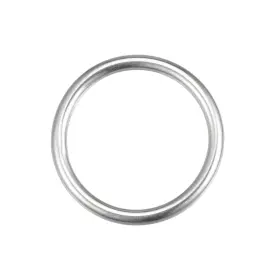 Zaplyte 743151798135 316 Stainless Steel O Rings 50x6mm Welded Round Ring