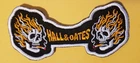 Hall And Oates American Rock Duo Embroidered Patch Approx 1.75X3.75" New. Price: $8.99.