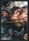 Bushiroad Shadowverse Evolve Marwin Card Sleeves Supply Booster Pack Limited Used. Price: $38.94.