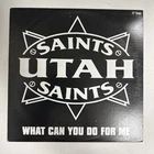 Utah Saints- What Can You Do For Me Vinyl 12" Promo Nm Used. Price: $14.99.