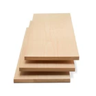 Baltic Birch Plywood 12X24X1/2" (12MM), B/bb Grade, Craft Sheets, 2-PACK New. Price: $80.31.