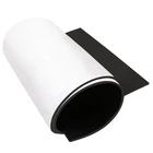 Dualplex Neoprene Sponge Foam Rubber Roll Adhesive, 12X54 Inches 1/8" Thick... New. Price: $30.41.