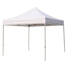 Manufacturer Varies Instant CANOPY,10 Ft. X 5NY99 New. Price: $294.50.