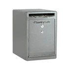 Sentrysafe Drop Slot Anti-fish Solid Steel Door Freestanding Dual Key Lock New. Price: $172.72.