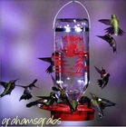 BEST-1 Glass Hummingbird Feeder Oz Bee & Wasp Proof BEST32 Made Usa New. Price: $28.95.