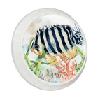 Lorvies 4 Pack 1.37" Decorative Ocean Sea Cabinet Knobs, Abs Glass Round Whit... New. Price: $31.54.