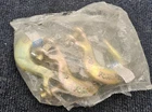 (qty 3) National Hardware N830-315 1/4" Clevis Hook Latch 3256BC New. Price: $19.99.