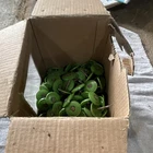 Hillman Roofing Nails 12 Plastic Cap Electrogalvanized Steel 250 Pack Open. Price: $10.50.
