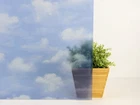 Fablon FAB10276 Clouds Self Adhesive Window Film, Blue 78.74 X 17.71 Inches New. Price: $14.52.