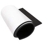 Dualplex Neoprene Sponge Foam Rubber Roll Adhesive, 15X60 Inches 1/4" Thick... New. Price: $33.56.