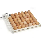 Farm Innovators 3200 Automatic 41 Spot Egg Turner For Improved Hatching, White New. Price: $62.99.