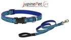 Lupine Originals Rain Song Dog Collar & Leash Set Small Medium Pet 9"-14" New. Price: $30.00.