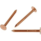 Tv Non-branded Items (home Improvement) 461790 Hillman Fasteners Slate Nail, New. Price: $24.69.
