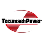 Tecumseh 590697 Brake Spring New. Price: $9.05.
