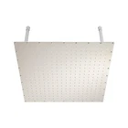 Stainless Steel #304 Shower Head - Size 60*60CM With 4PCS New. Price: $81.00.