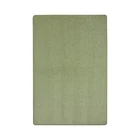 Premium Polyester Solution Dyed Sage Area Rug 4' X 6' - Joy Carpets New. Price: $68.80.