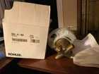 Kohler K-304-K-NA Rite Temp 1/2" Pressure-balancing Shower/tub Mixing Valve New. Price: $60.00.