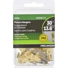 Picture Hanger 30LB CD25 New. Price: $51.83.
