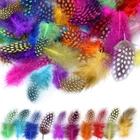 120PCS Colorful Spotted Feathers For Crafts, Mwoot (2-5.1 Inches) Natural Chi... New. Price: $15.22.