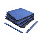 Norsk Reversible Eva Foam Exercise Mats - 6 Tiles With Edge Pieces, 24"X24" New. Price: $39.99.