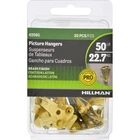 Picture Hanger 50LB CD20 New. Price: $66.10.
