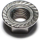 Hard-to-find Fastener 014973181680 Serrated Lock Nuts, 5/16-24, PIECE-6 New. Price: $16.76.