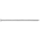 Maze Nails AT3.258252 1/4LB Wht Trim - Quantity New. Price: $20.49.