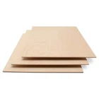 Woodpeckers 3MM Baltic Birch Plywood 1/8X12X16 Craft Box Of B/bb Grade New. Price: $50.45.