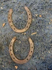Diamond Classic Horseshoe 2 Hind New. Price: $16.75.