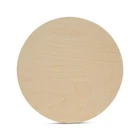 Circles 14 Inch 1/4 Thick, Unfinished Birch Sign Rounds Woodpeckers New. Price: $22.21.